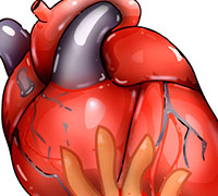 Corazón de el Doctor Souwiro  - 2017 - Ilustración en vectores realizada para el tercer capitulo de El EnnuComic Animado.